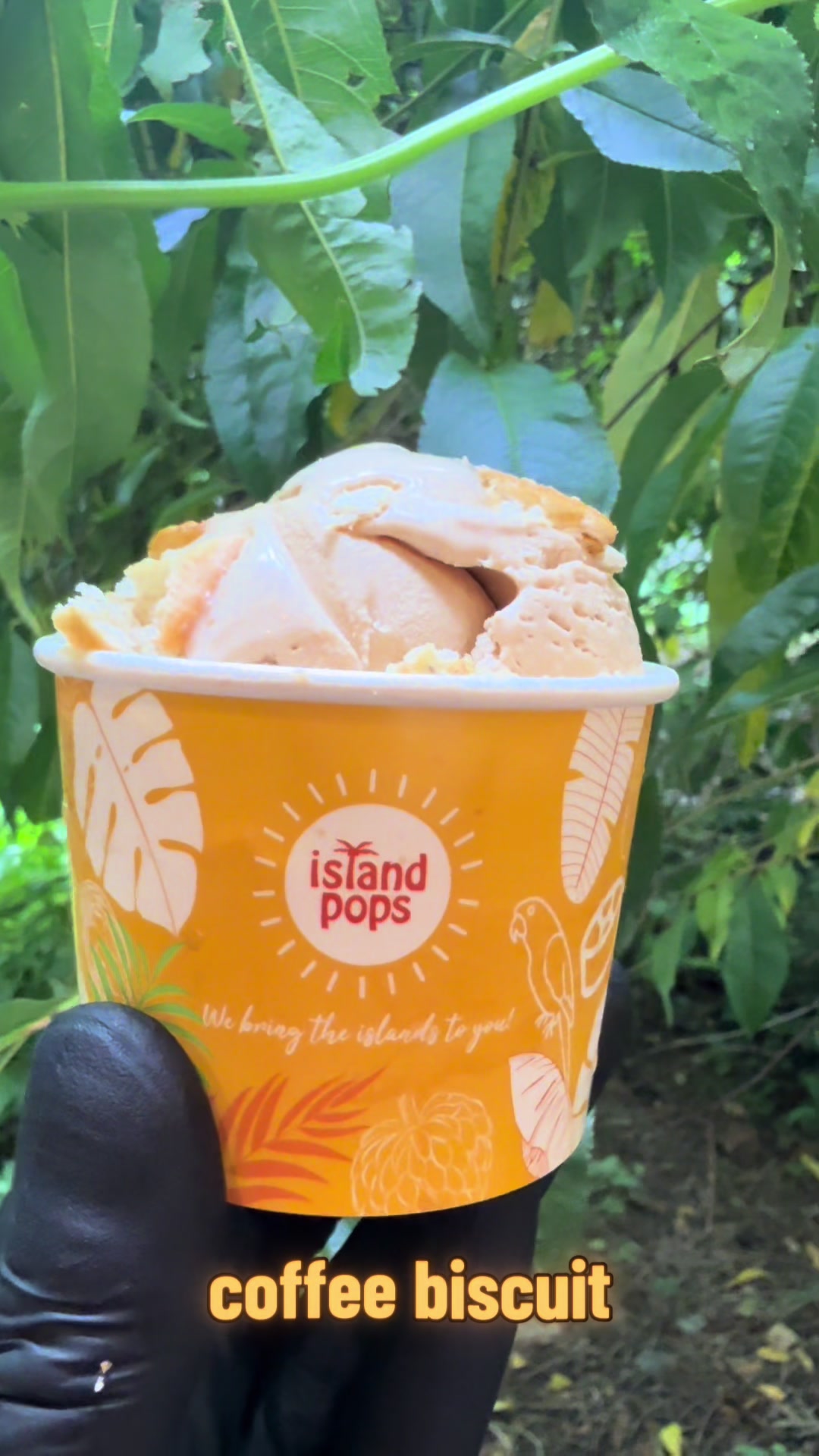 @Island Pops
