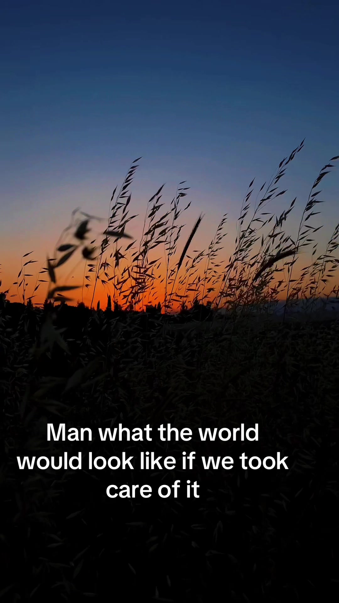 @ecovisuals