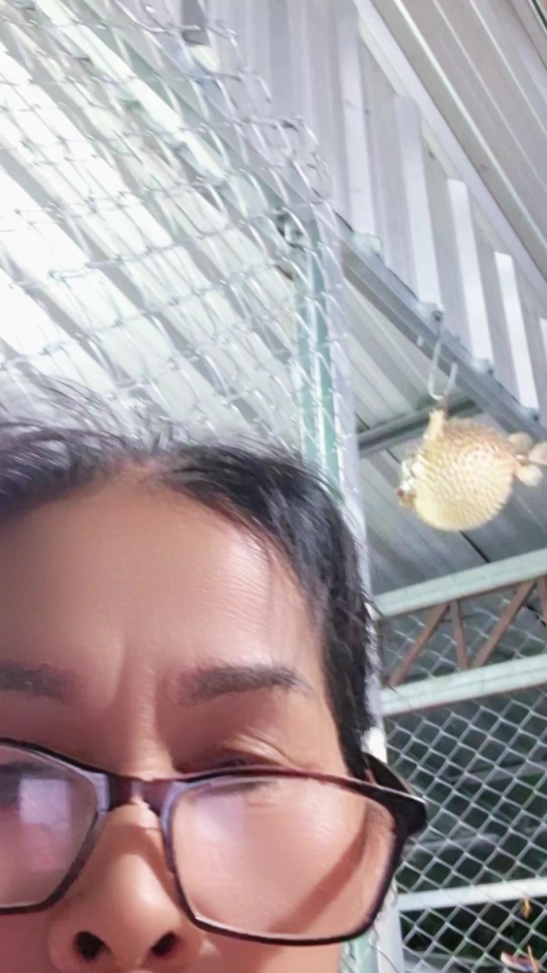 @Thitinan Saiphan