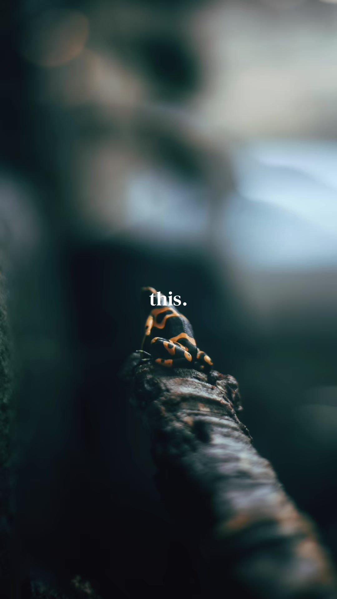 @Johnnyisahermit
