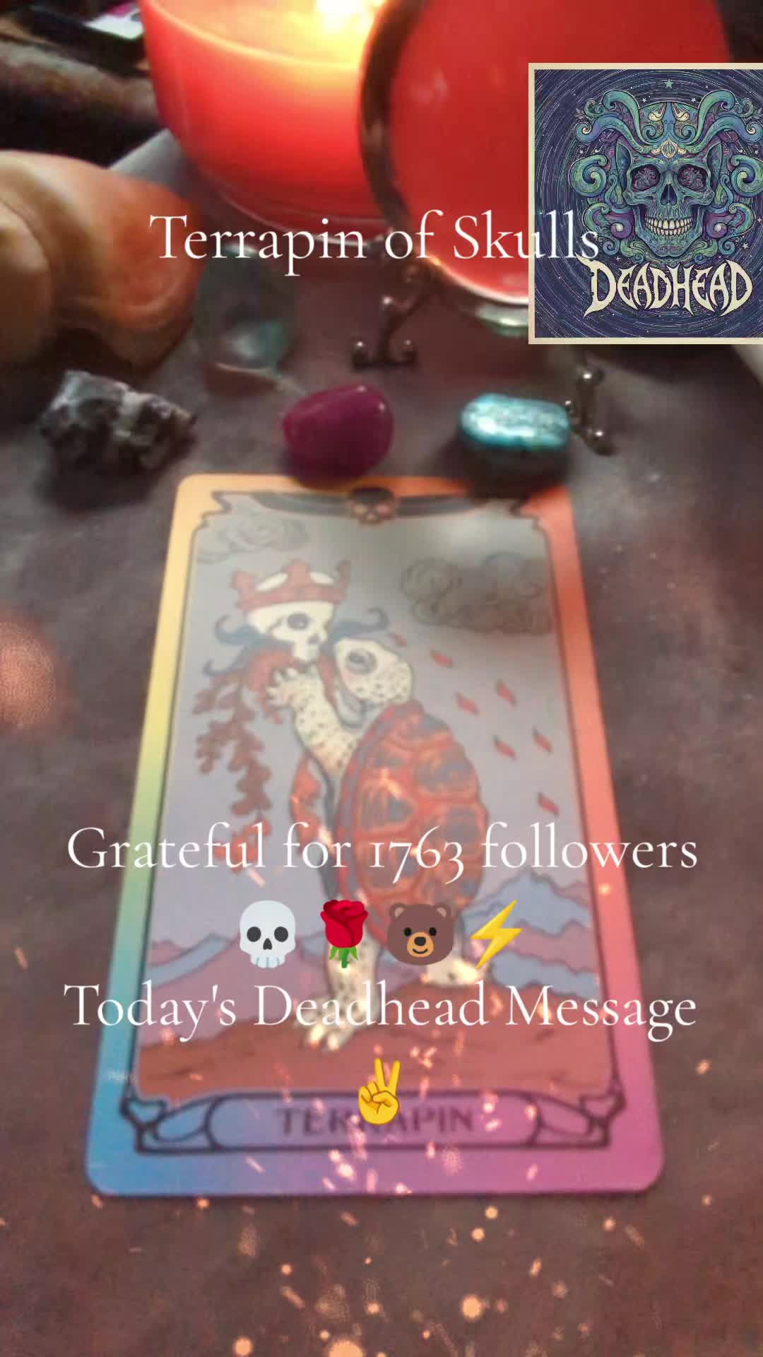 @Deadhead Tarot ✨✌️✌️