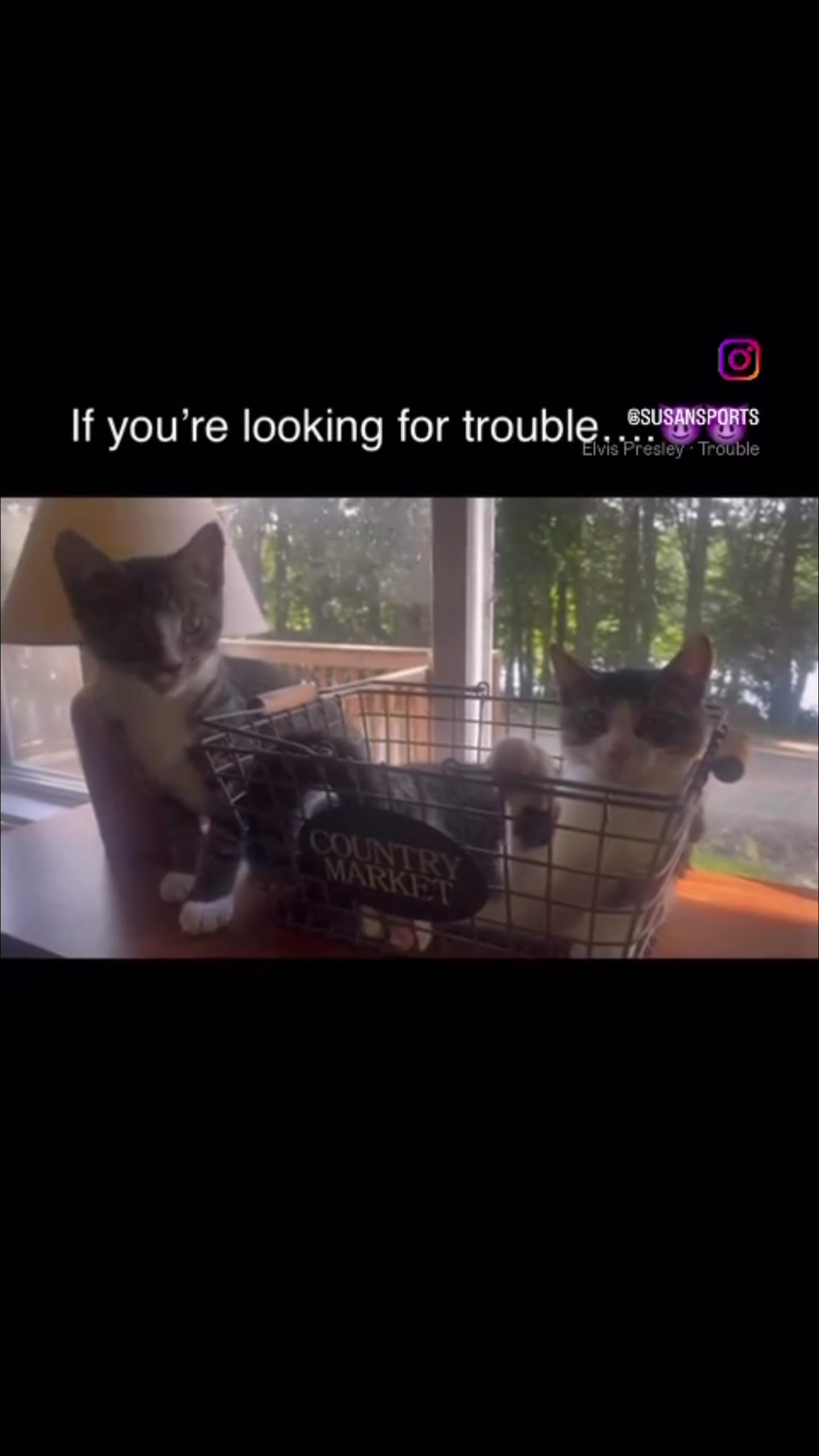 @Susan