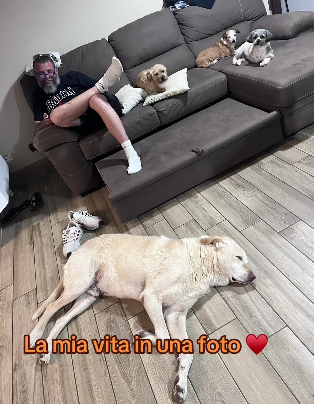 @Tanya Volontaria Animalista