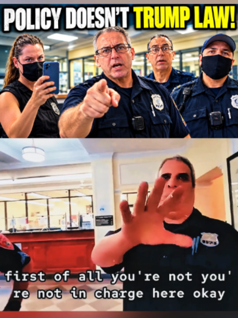 @Long Island Audit