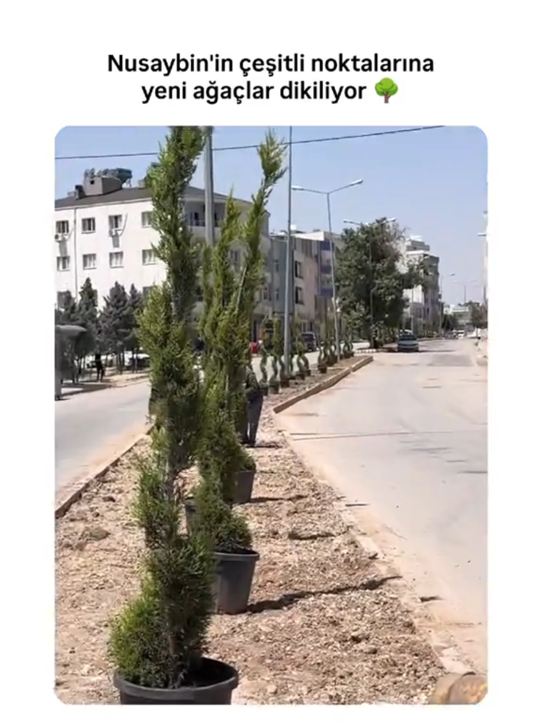 @Nusaybin Tanıtım