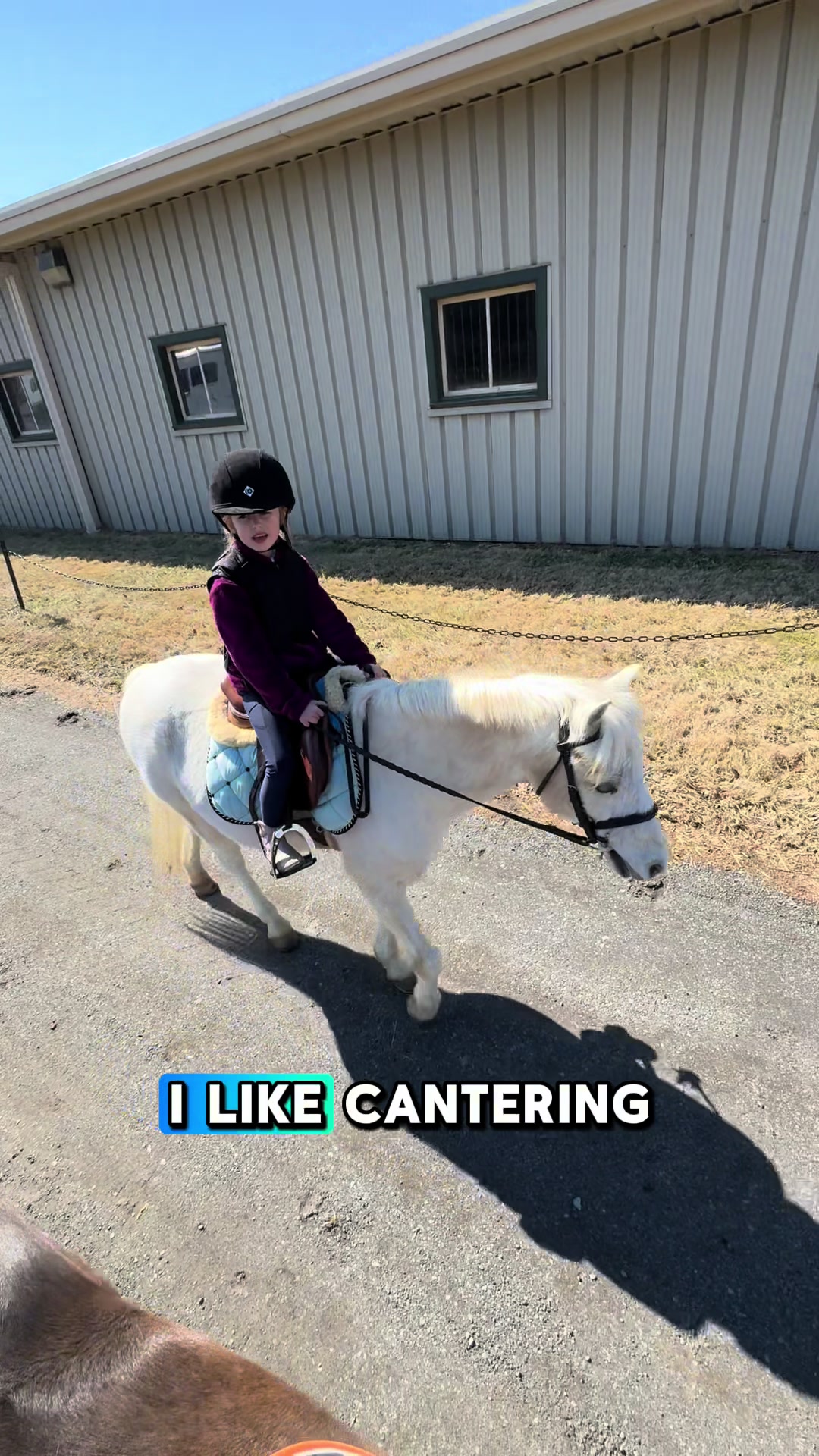 @ckponies