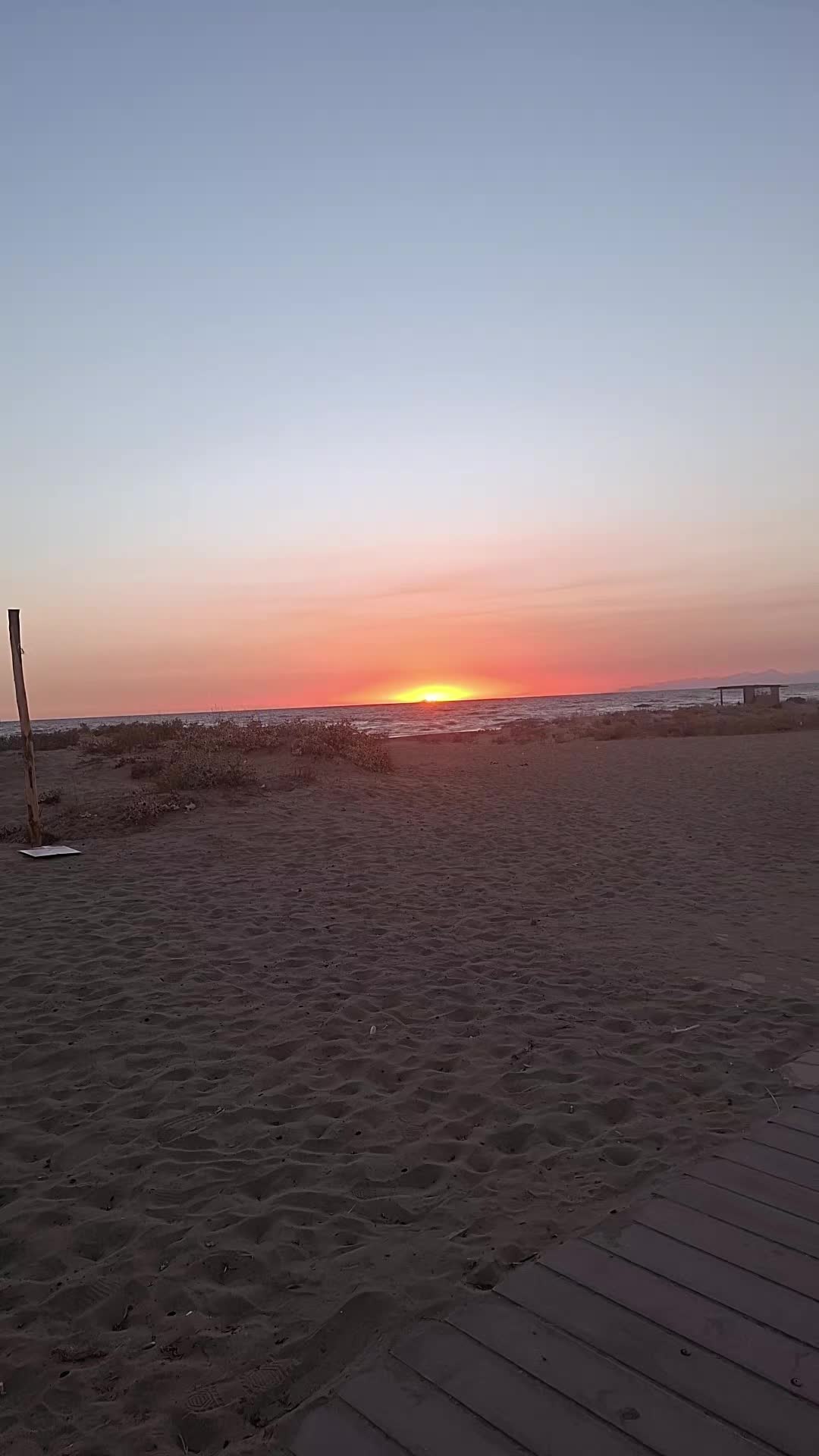 @veraveraadzovic