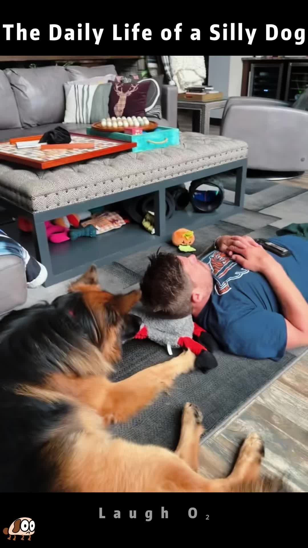 @laugho2
