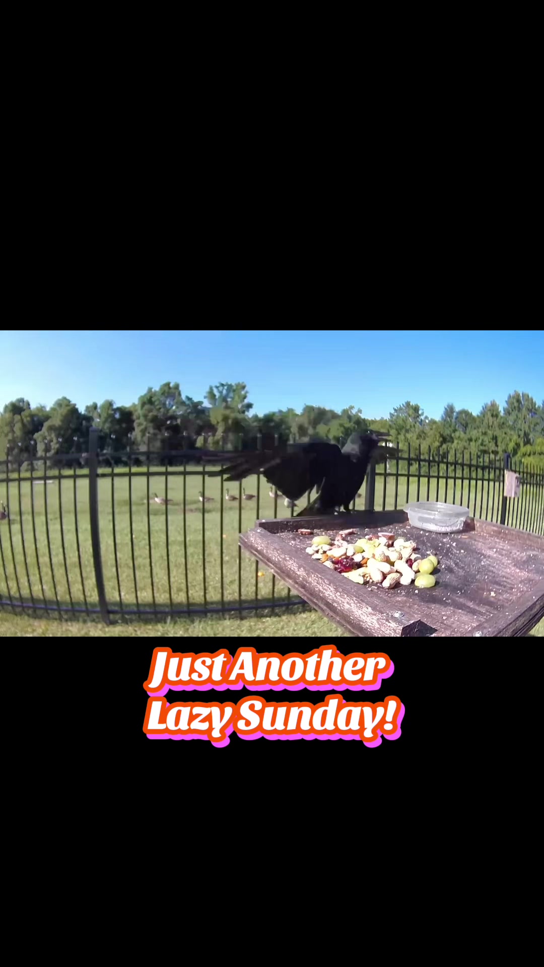 @Buffy_In_Louisiana