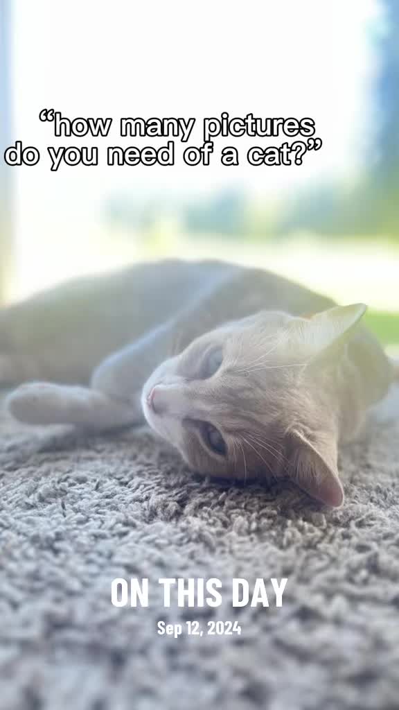 @MsHypurr