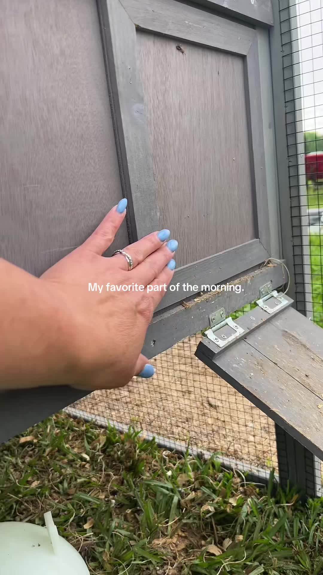 @A M B E R 🗝️