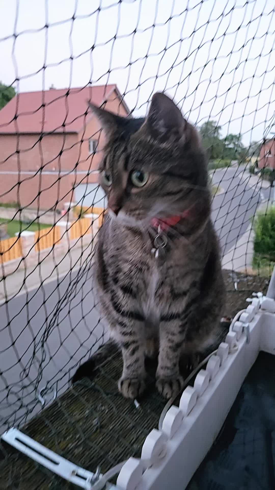 @😸 Alex 😸