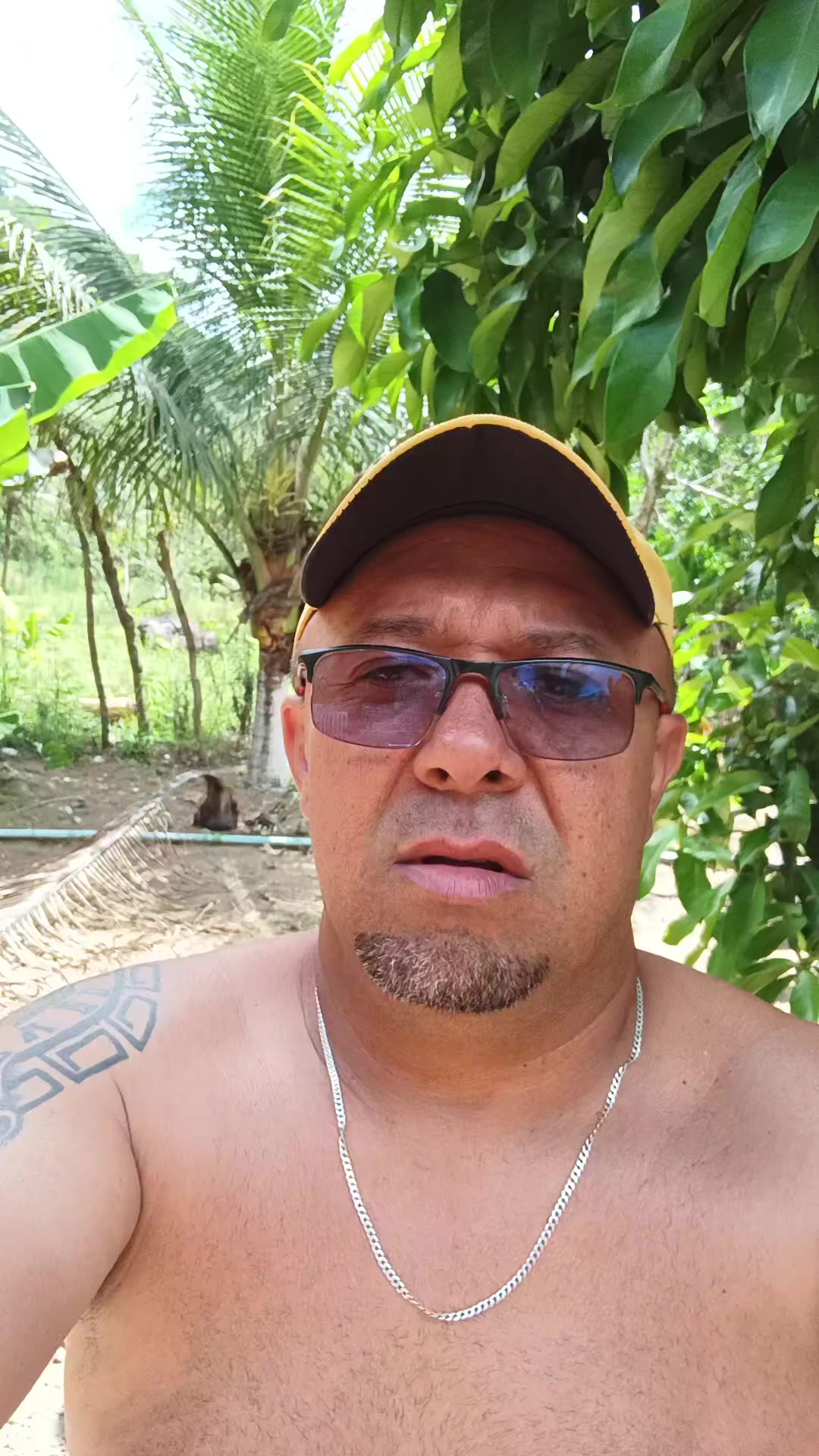 @fabiosilva_divulgacao