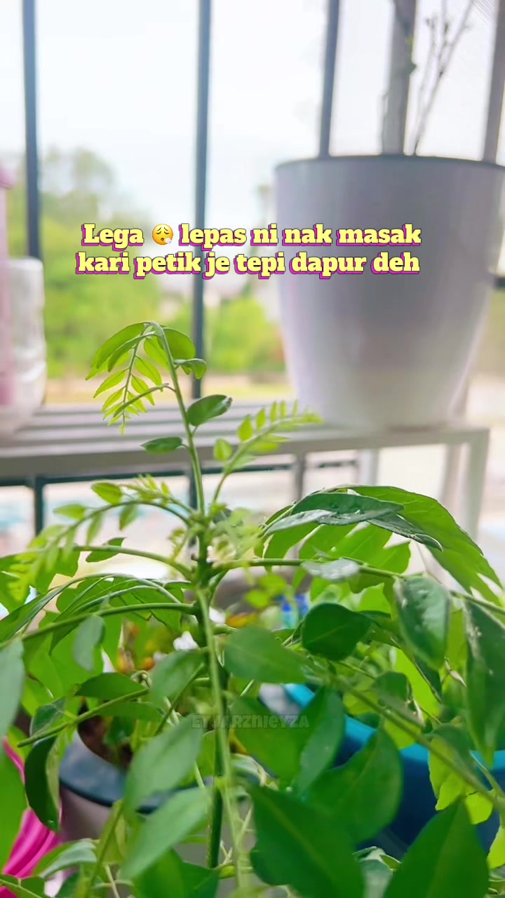 @แดฦณแแฉ ๐