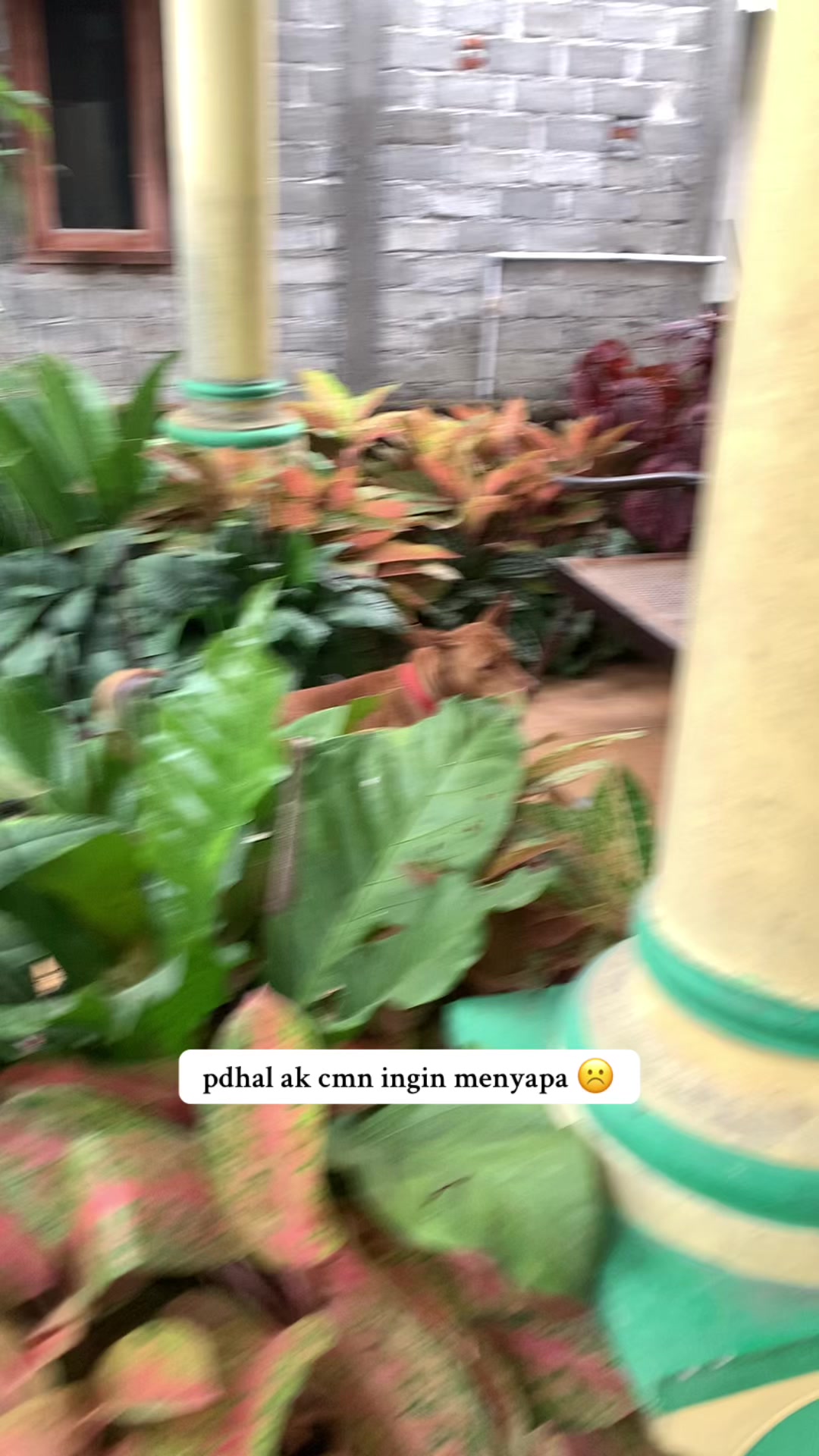 @Ternaktuyul🧌