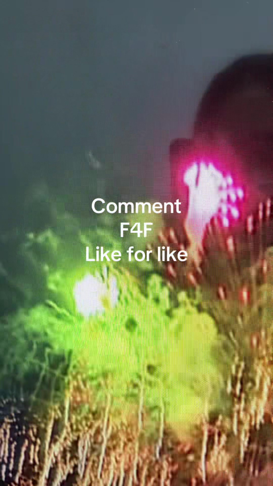 @F4F