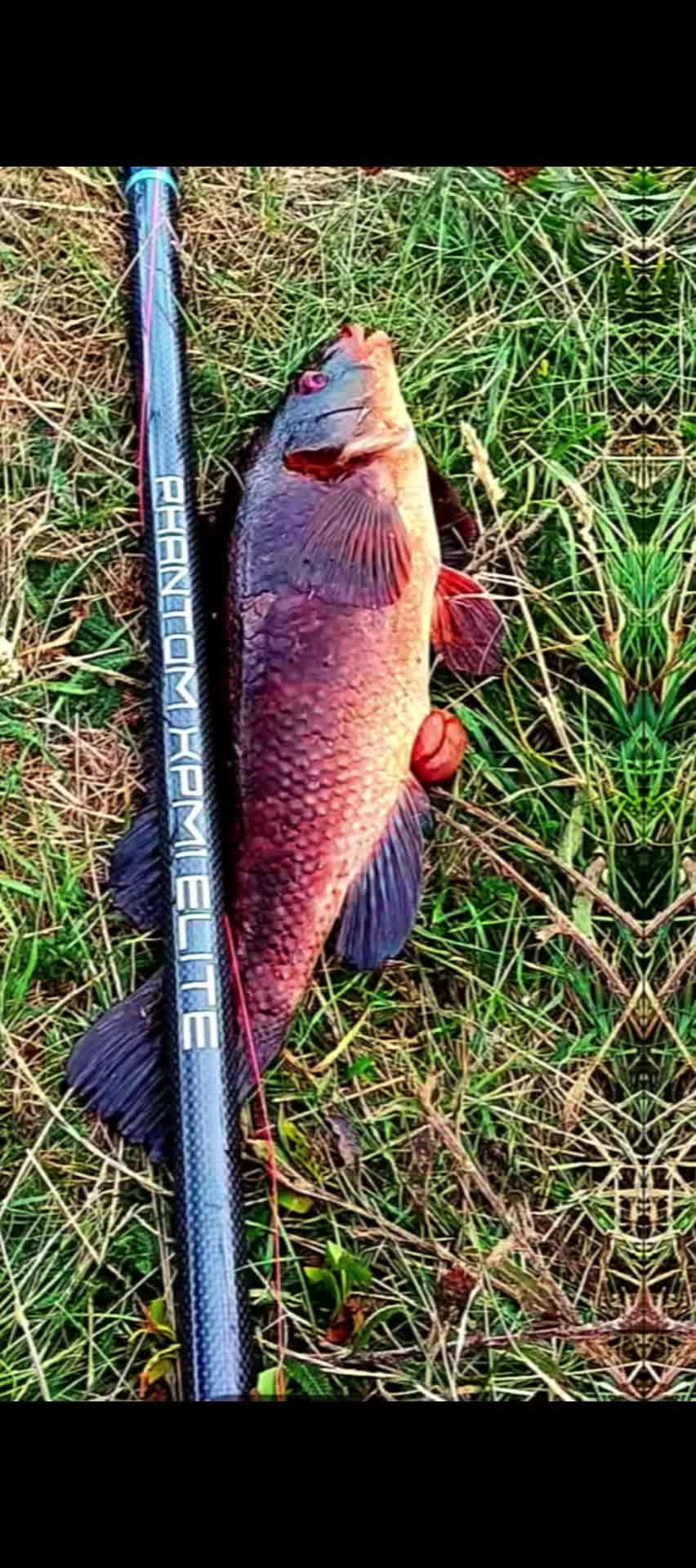 @PHANTOM FISHING RODS LTD