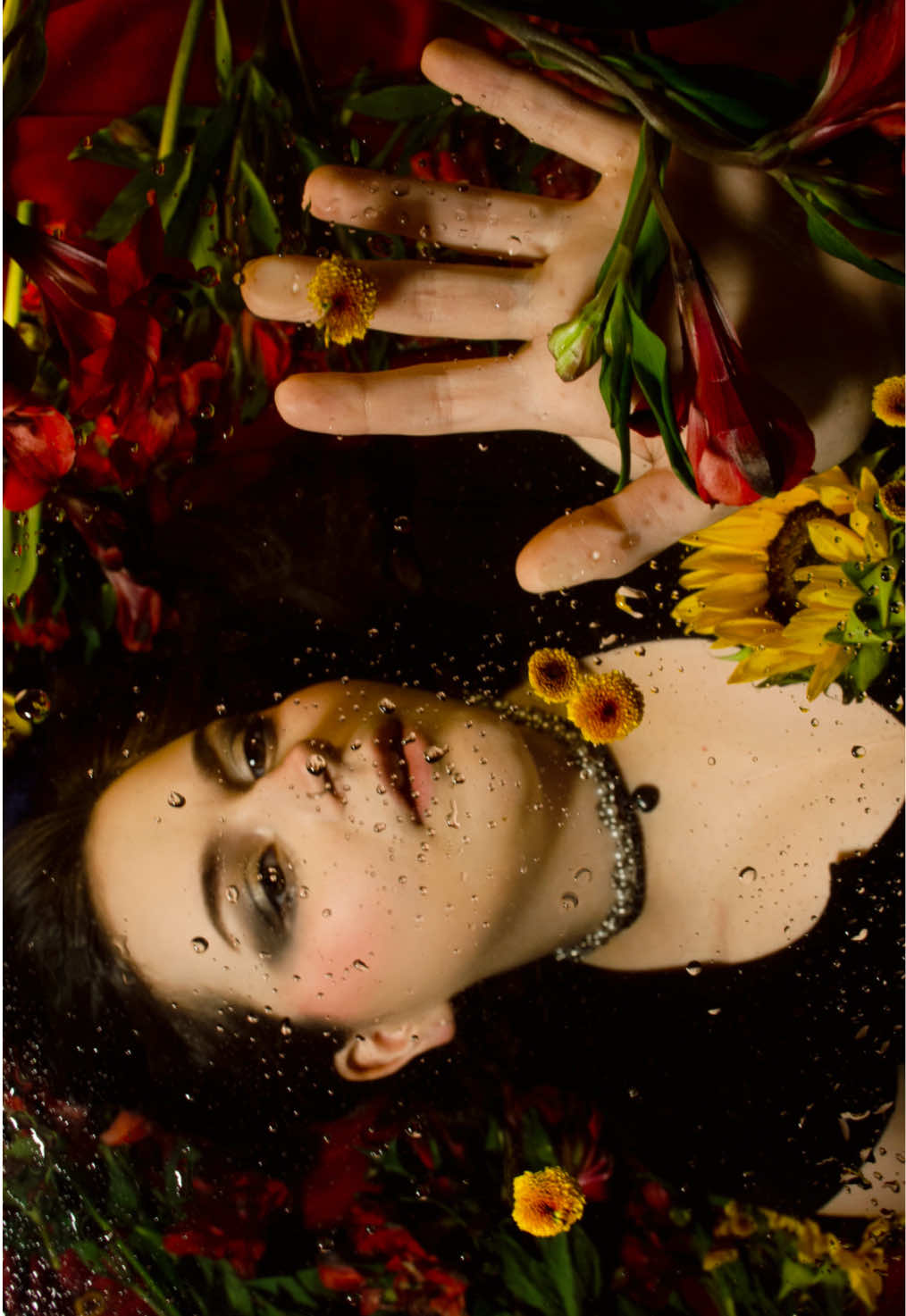 @sunflowerstills