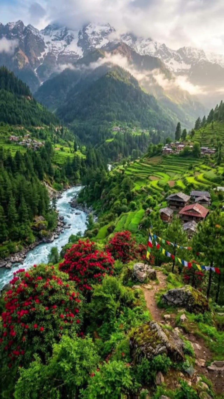 @DirghaTez Shrestha