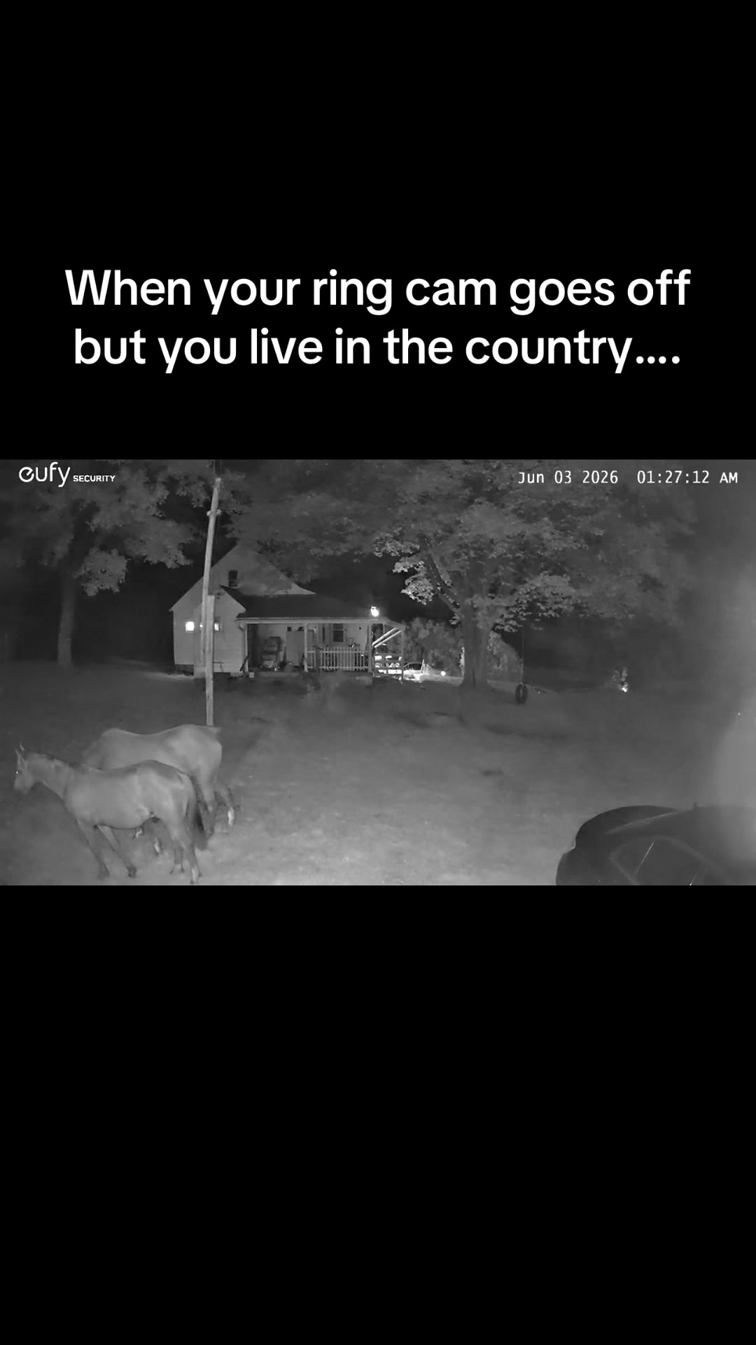 @Cluck Around n Find Out