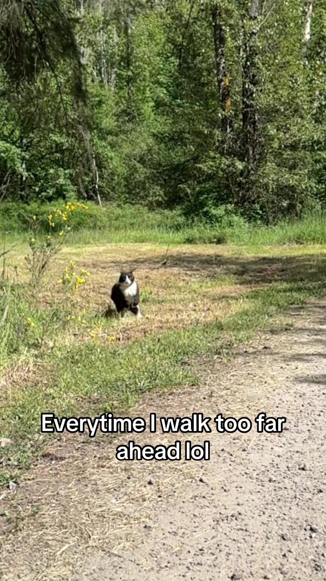 @itsbubblesinthewoods