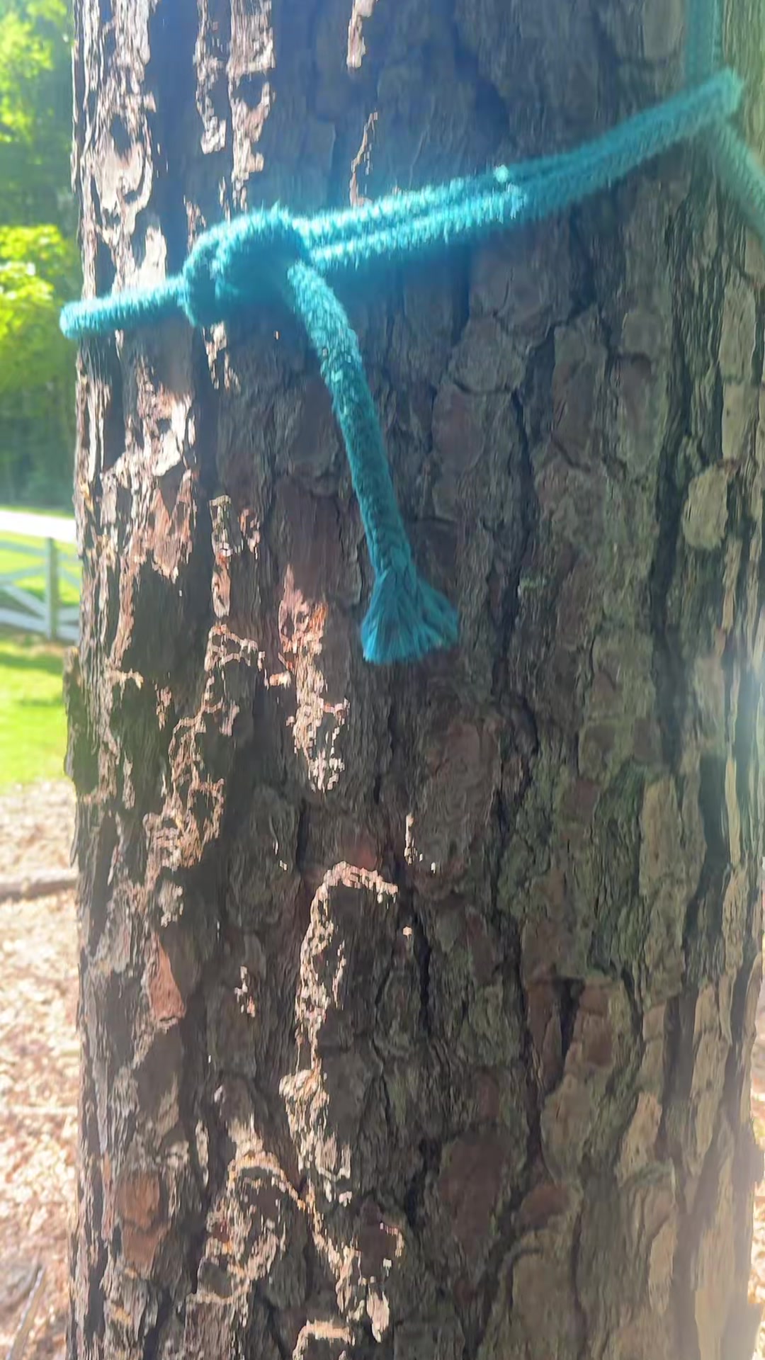 @FIDELMAR TREE CARE LLC