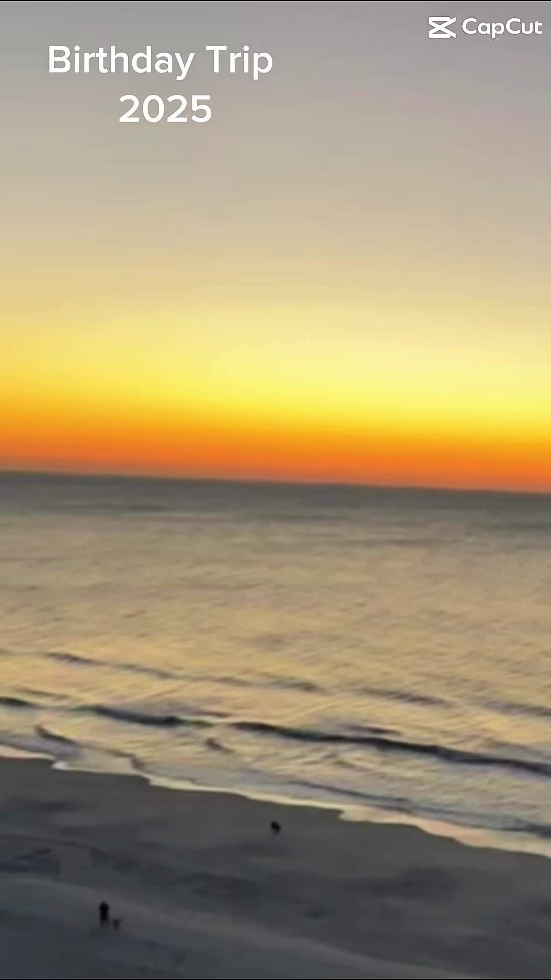 @Lulu Lulu 🦖