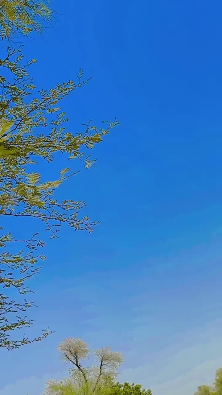 @GUجAR _Boy 🤟