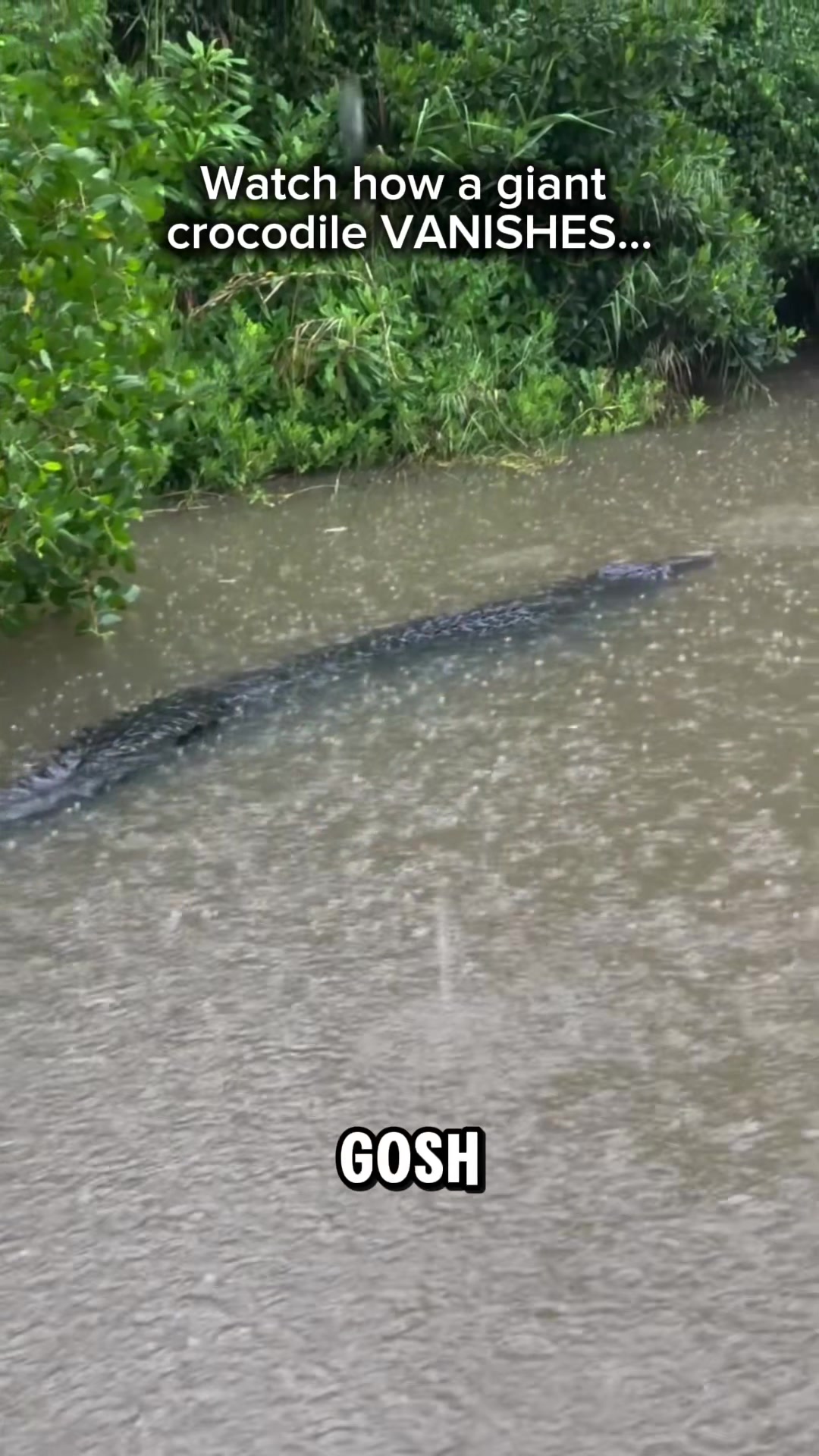 @WorldOfWater
