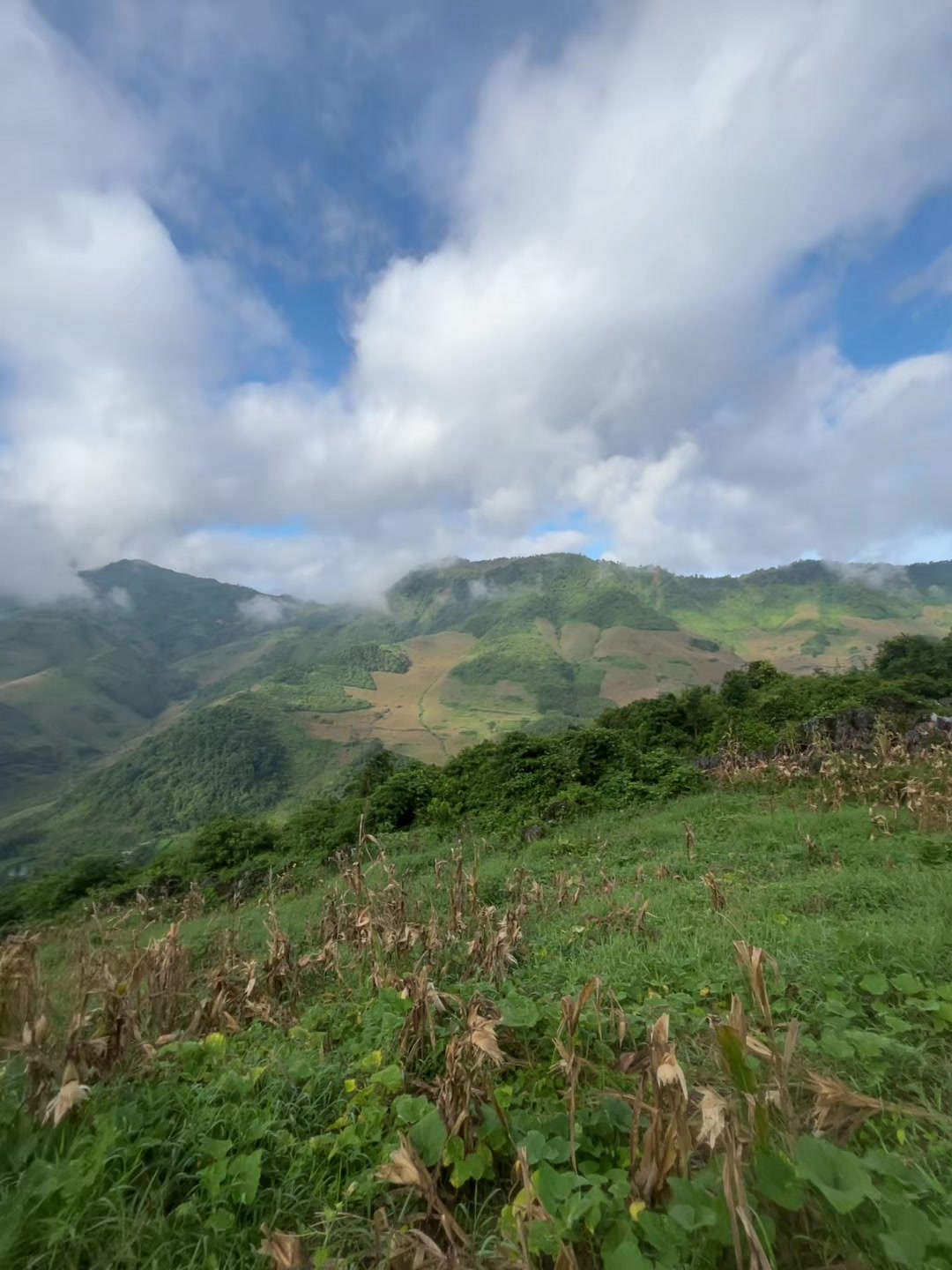 @LÍU 🇻🇳☣️
