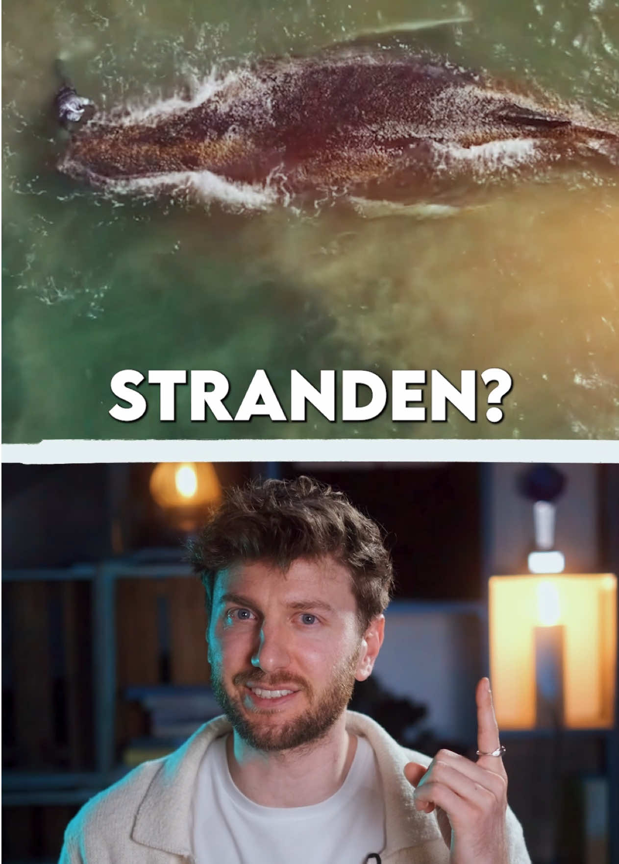 @Philipp Dubbert