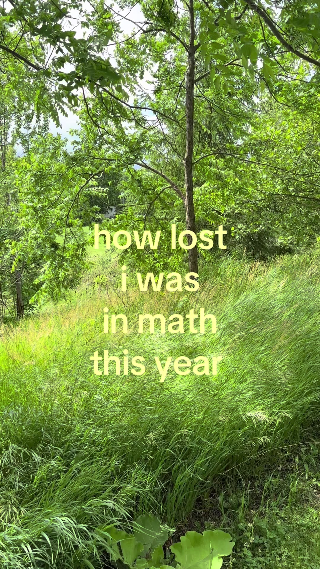 @gavin