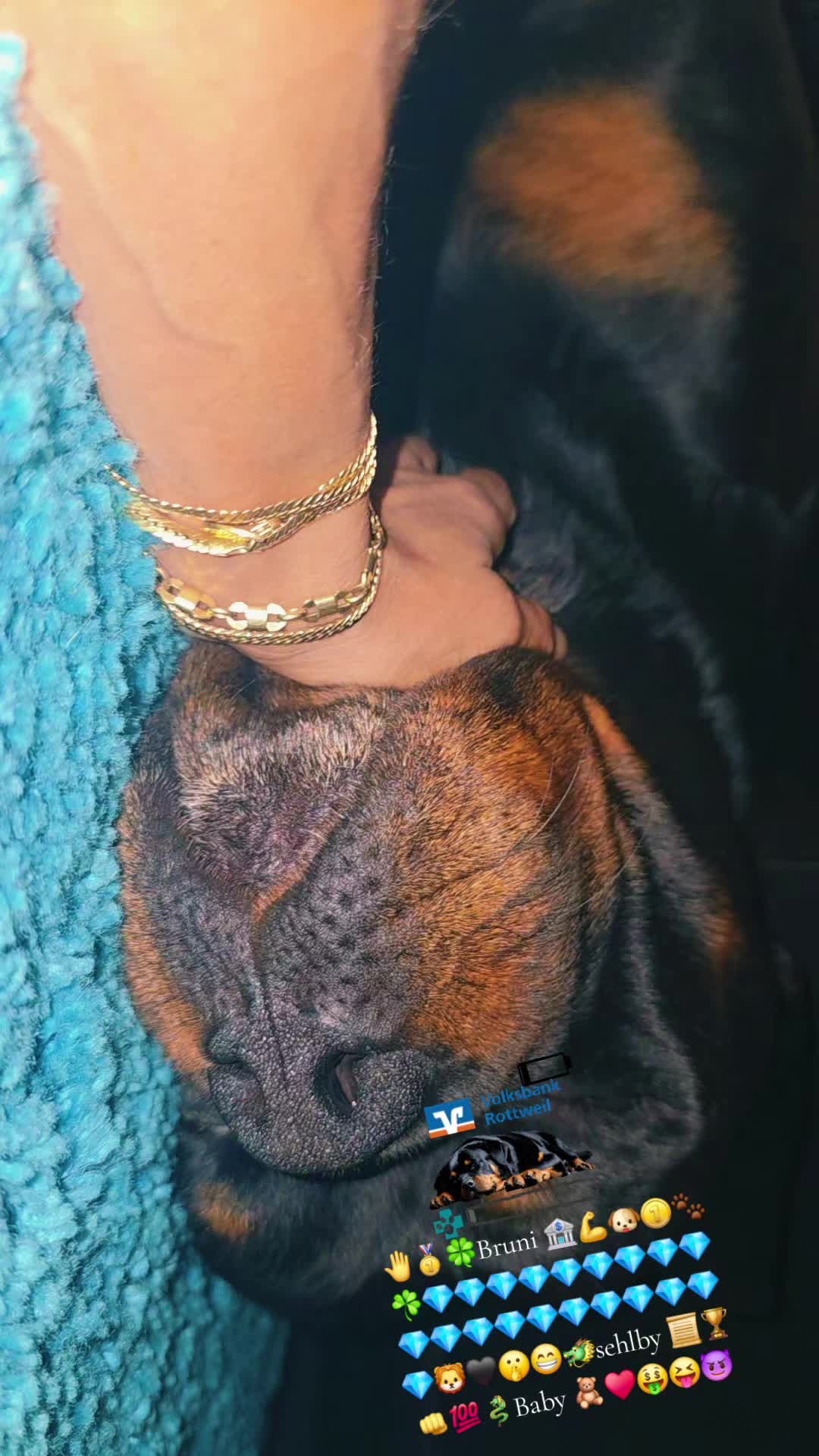 @Rottweiler Bruno
