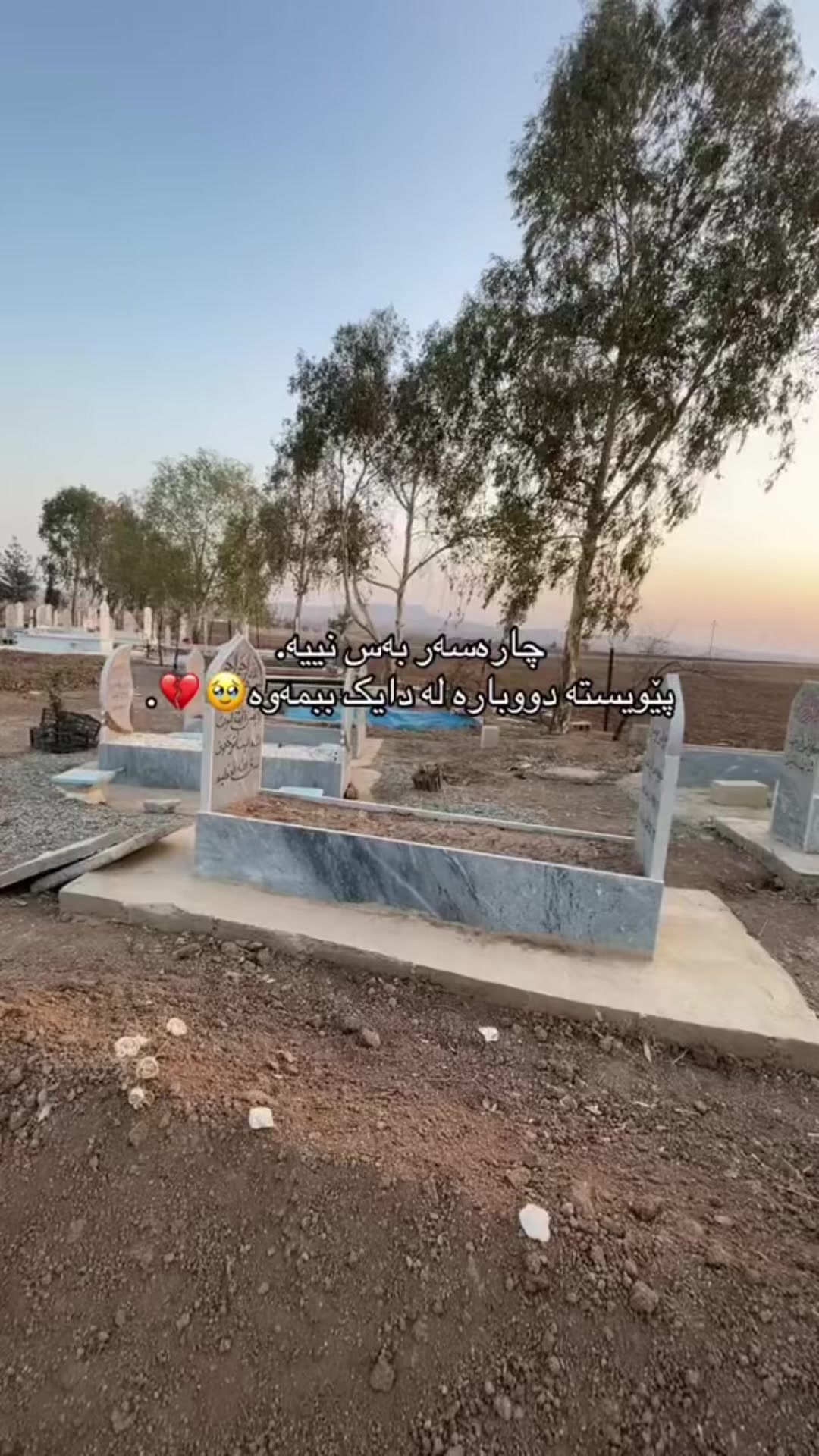 @﮼فراوله🍓
