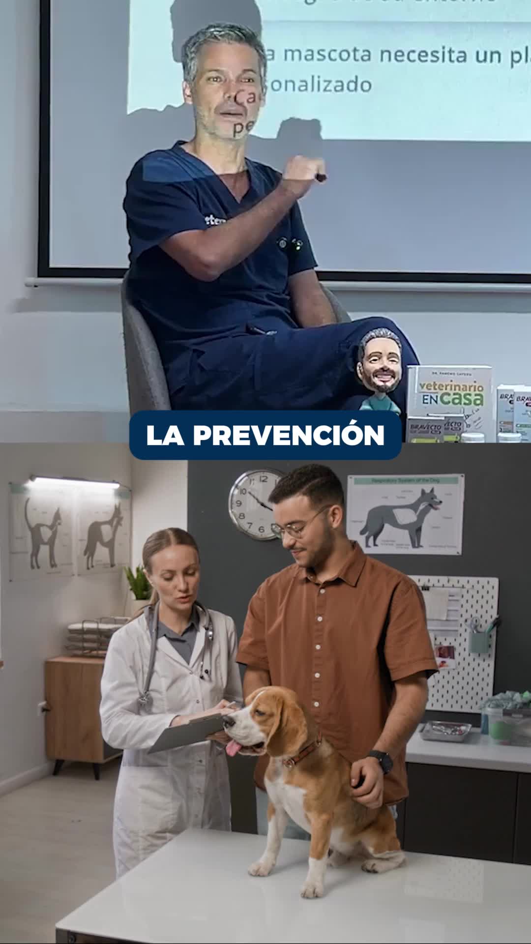 @Pancho Cavero