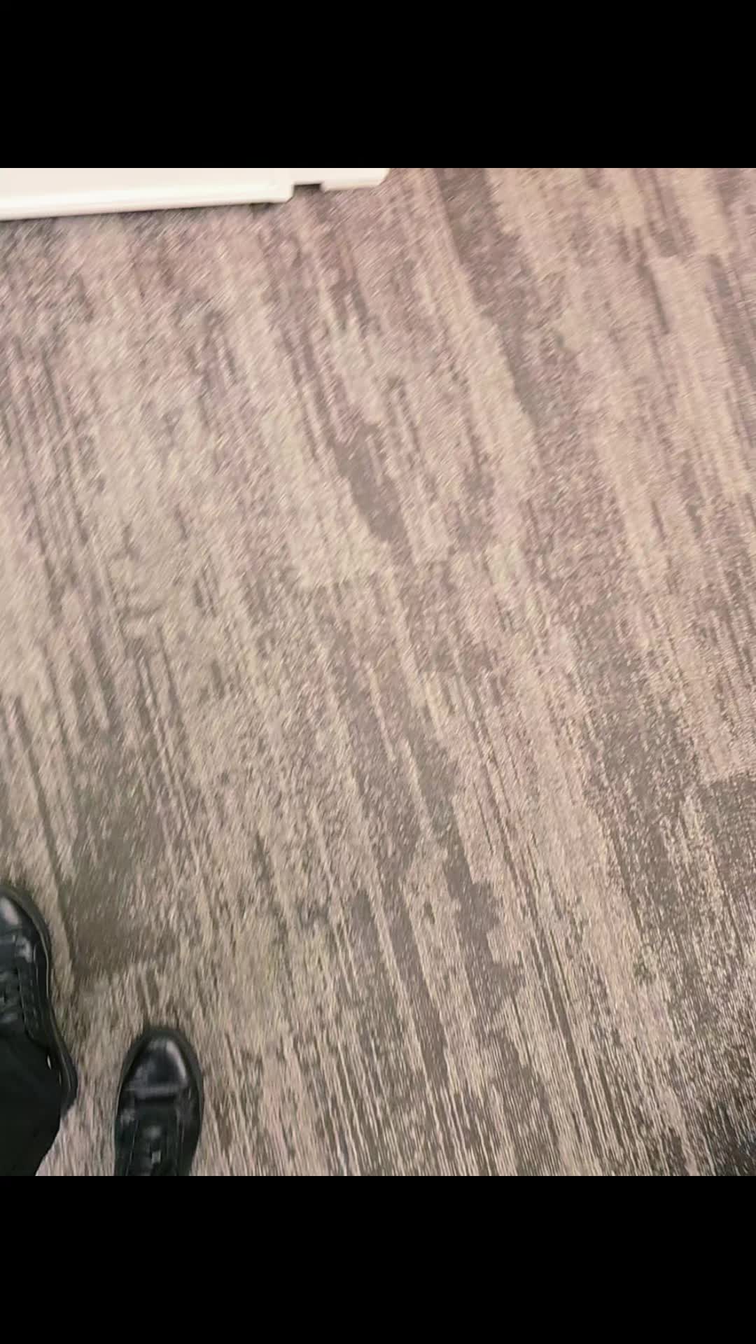 @wilerijose