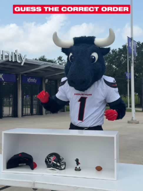 @Houston Texans