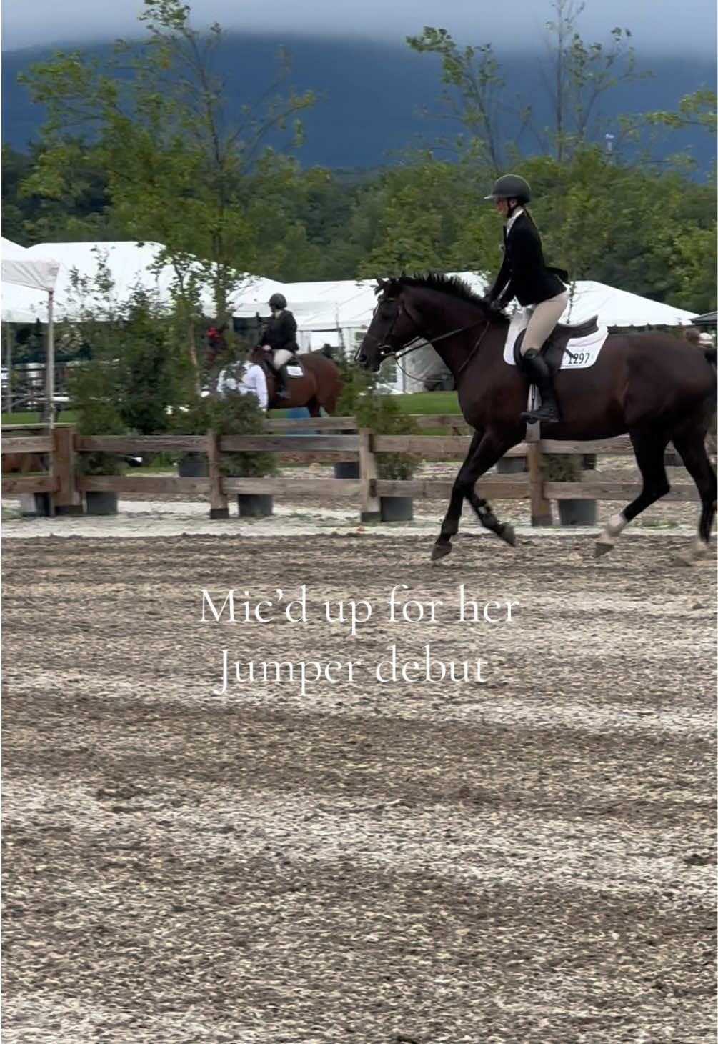 @Equestrian |🦄 Mom