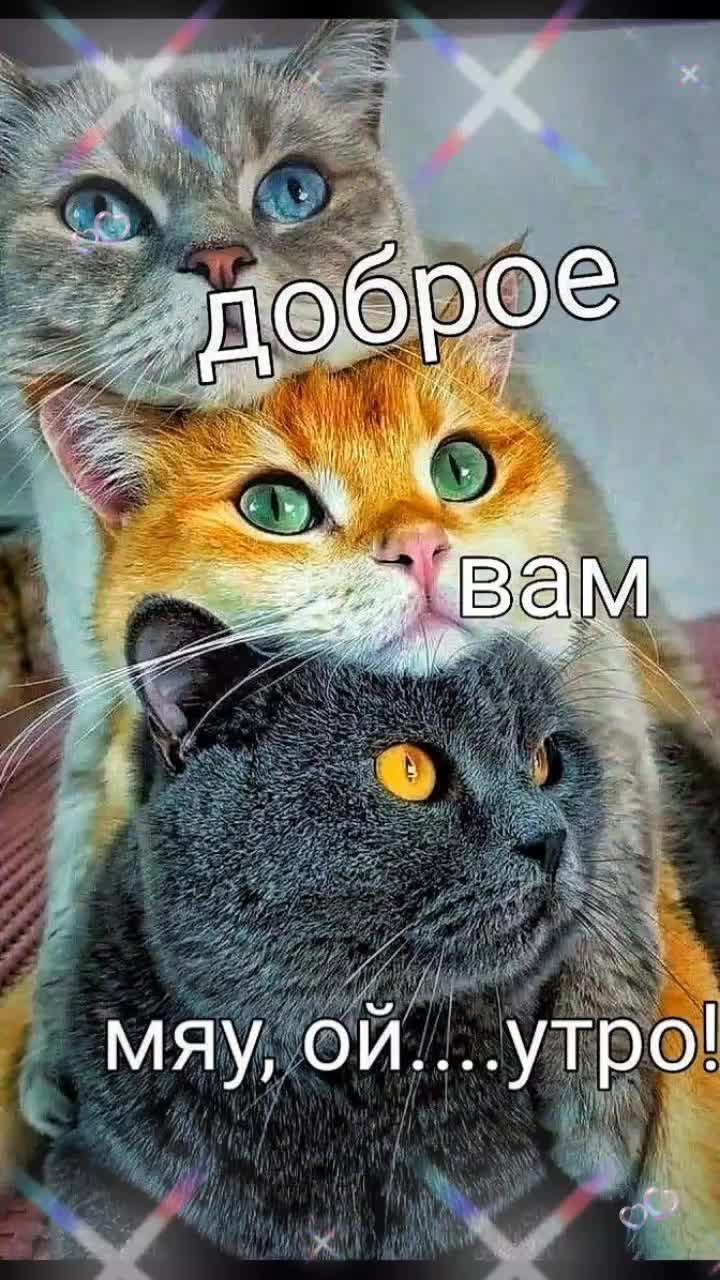 @Елена