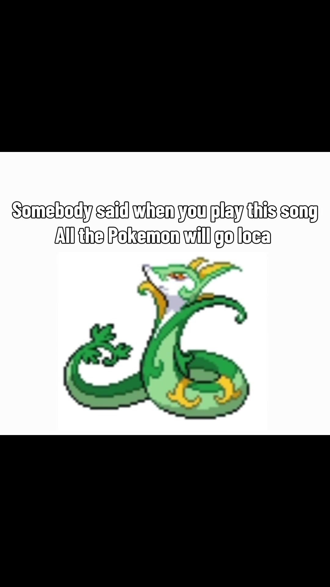 @#1 Ampharos Glazer ⚡️