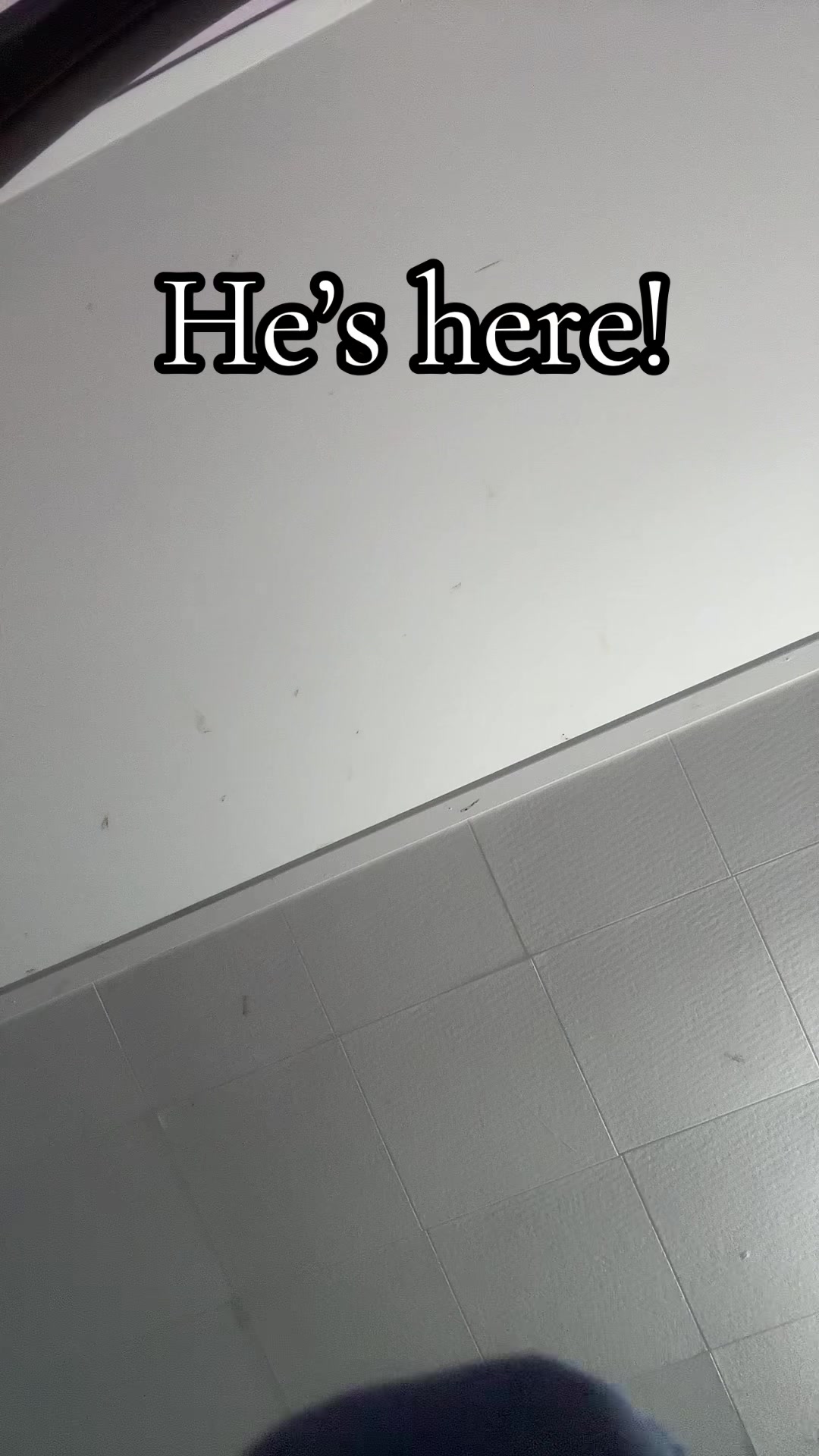 @Cheetahchan