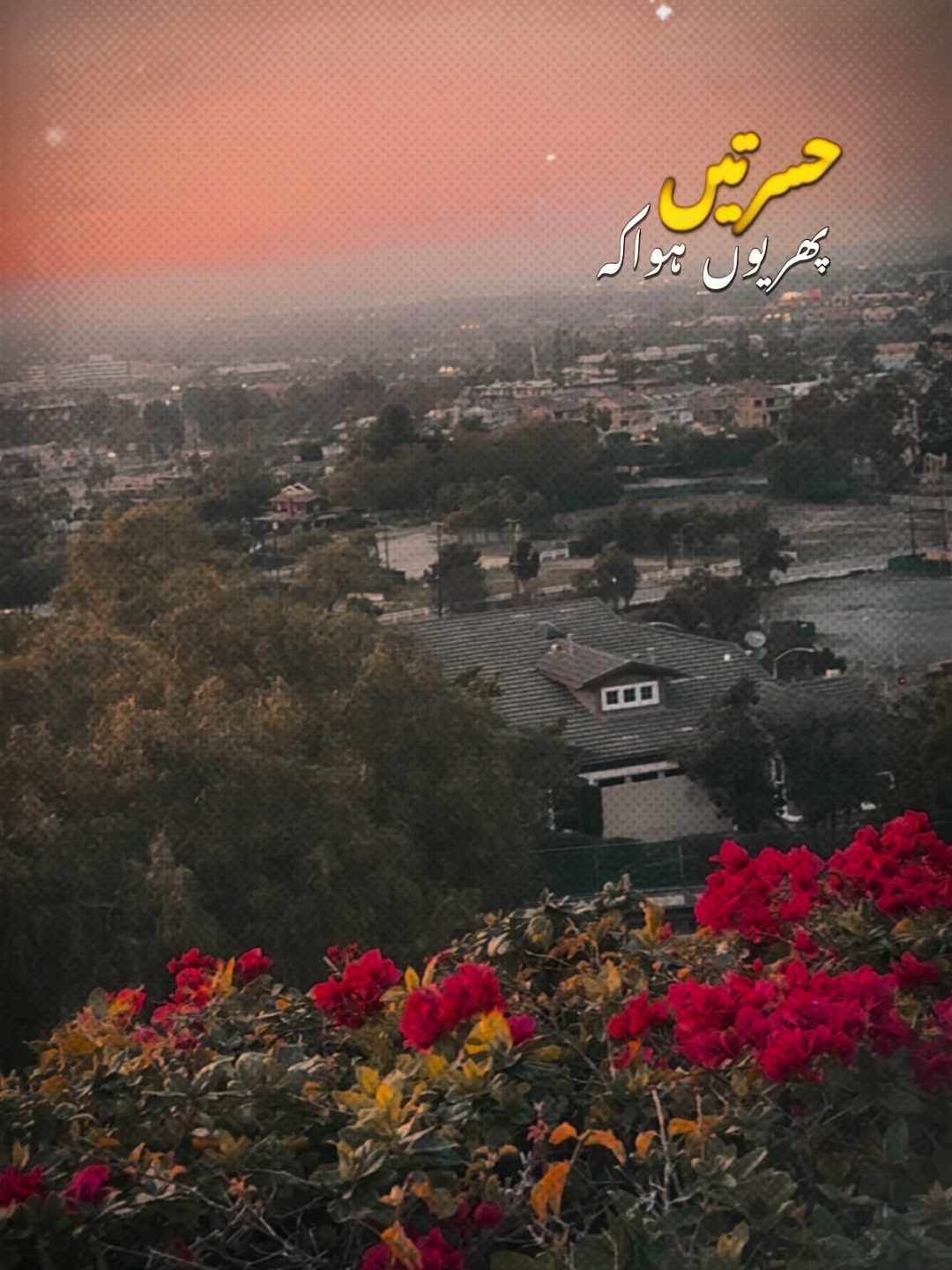 @JaNie 🇵🇰🇺🇸