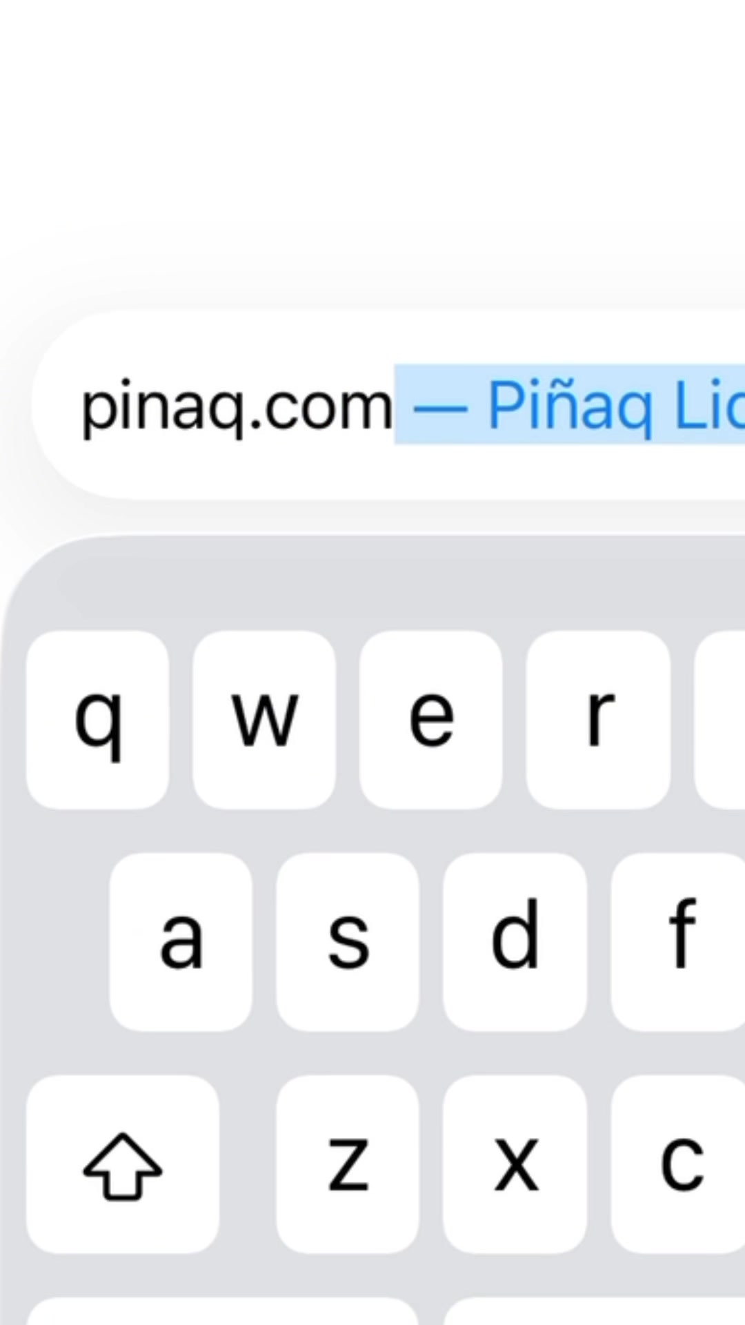 @piñaq