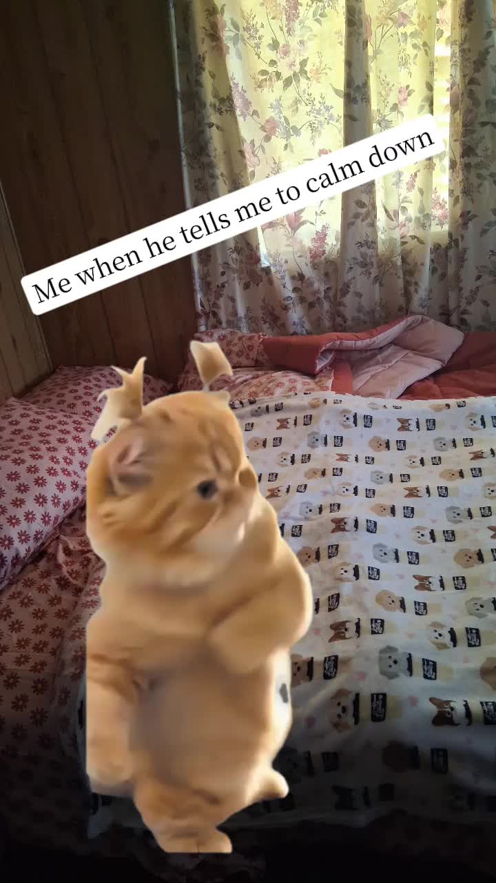 @maria