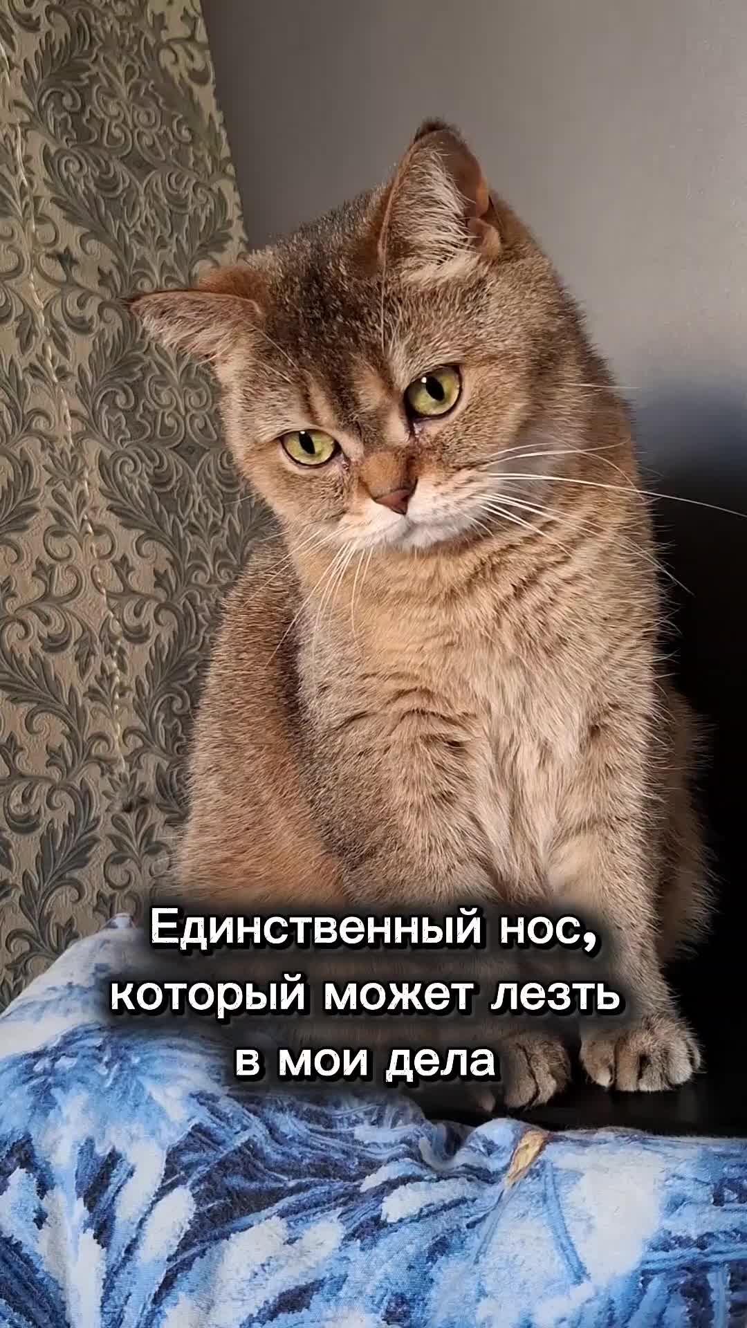 @Жанночка