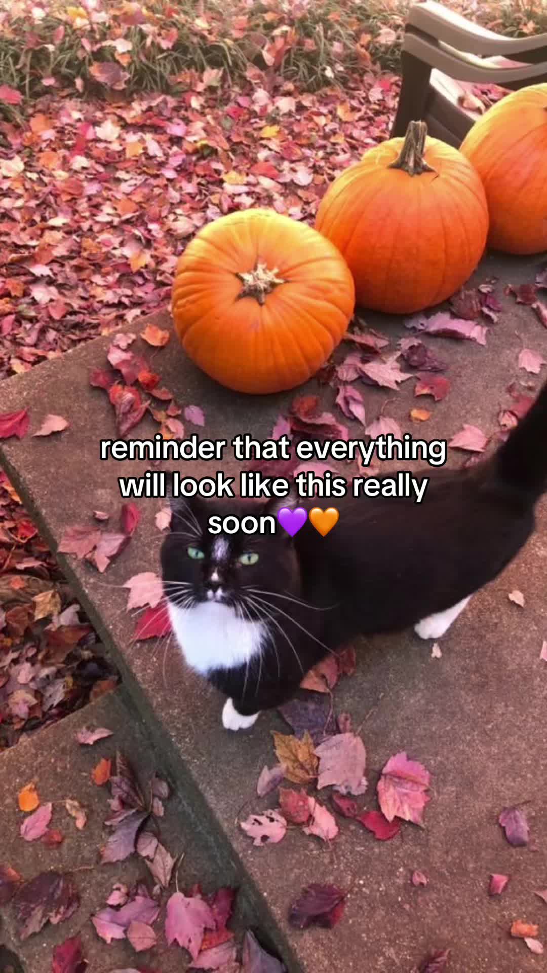 @ro🫧