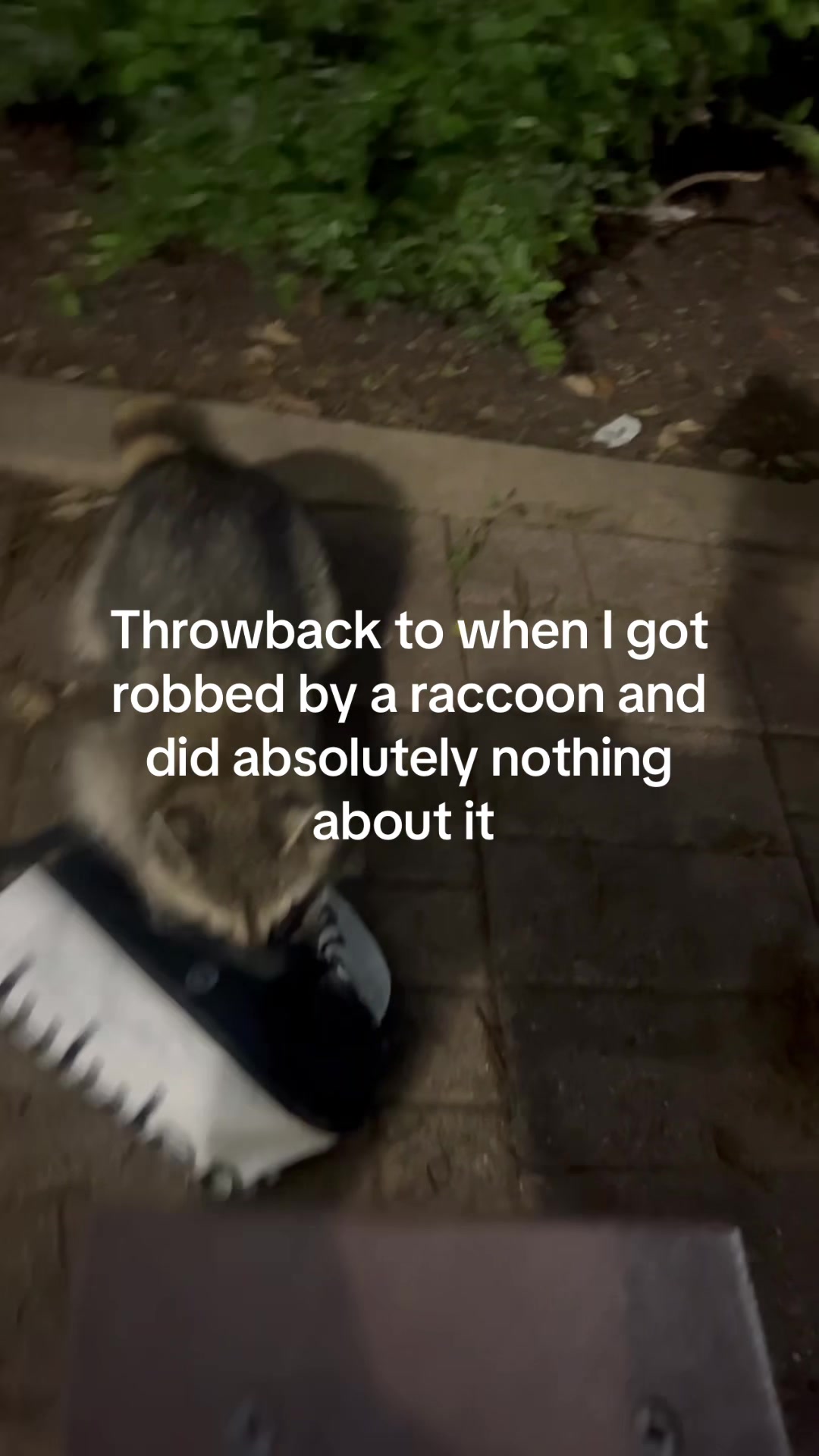 @sarahmilller