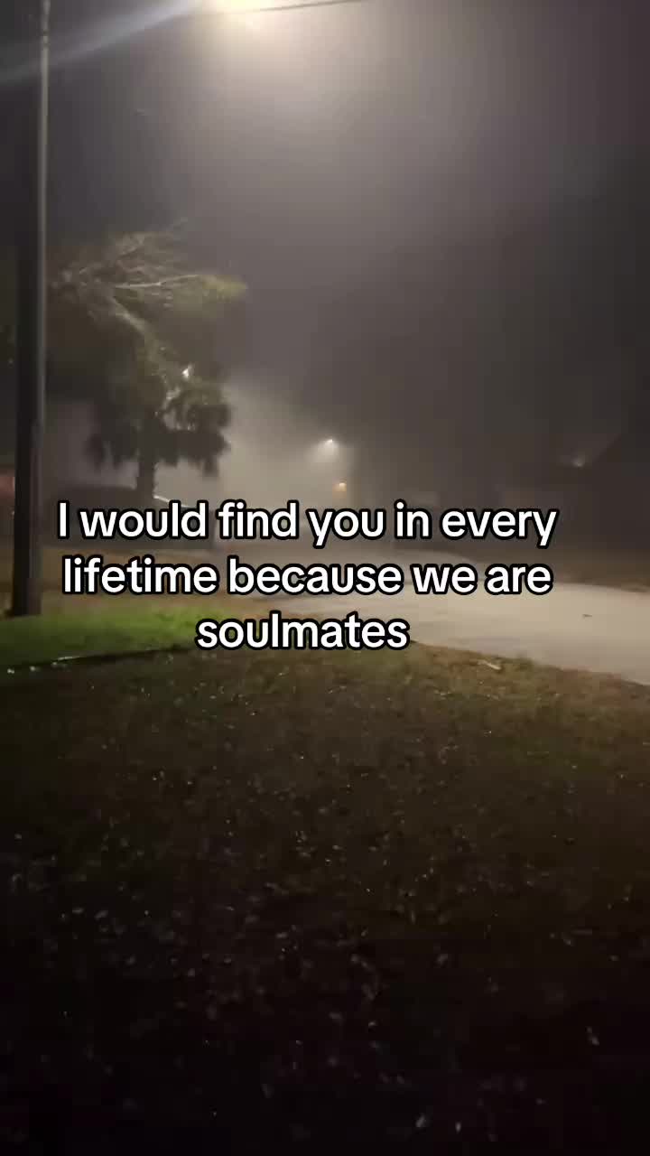 @Jizzy Quin
