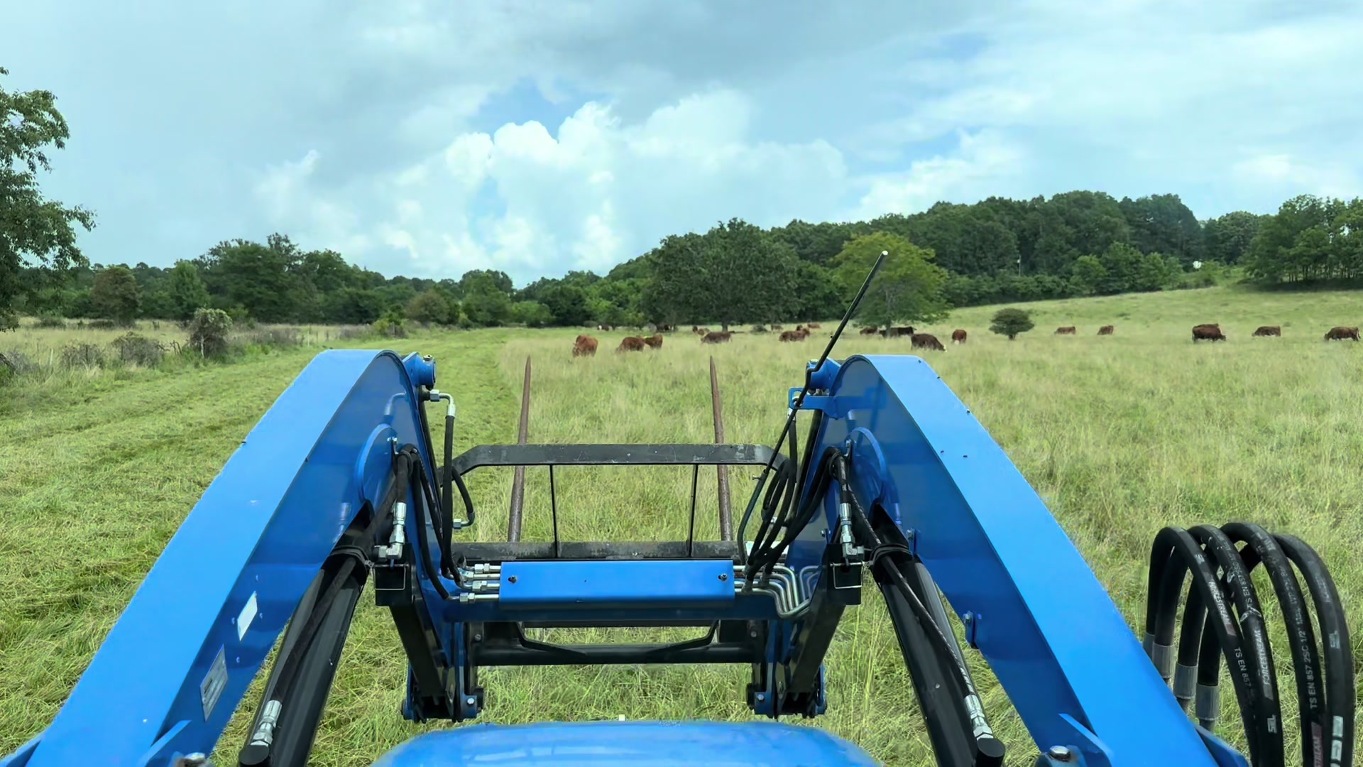 @Massey Land & Cattle