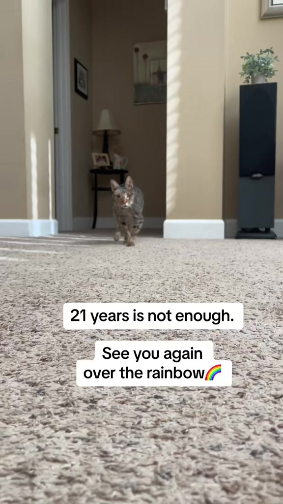 @Luke & Leia Catwalker